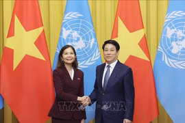 越南国家主席梁强会见联合国常驻越南协调员塔梅西斯。图自越通社