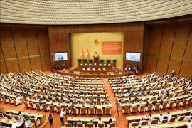 会议全景。图自越通社