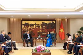 越南政府副总理范氏清茶会见由史蒂芬·马克斯纳博士率领的正在访问越南的山姆·约翰逊中心代表团。图自越通社