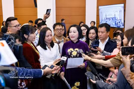 越南国会副主席、国家选举委员会委员阮氏清接受记者的采访。图自越通社