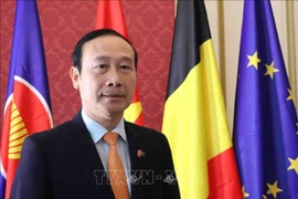 越南驻比利时王国特命全权大使、越南驻欧盟代表团团长阮文草接受越通社记者采访。图自越通社