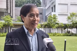 新加坡李光耀公共政策学院教授武明姜接受越通社驻新加坡记者采访。图自越通社