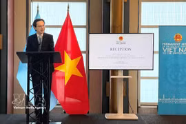 越南大使杜雄越主持第十一次《不扩散核武器条约》审议大会欢迎招待会。图自越通社