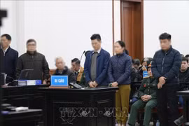 第五军区军事法院审判委员会对一起涉及旧芽庄机场、违反土地管理规定和诈骗侵占财产的一审案件作出判决。图自越通社