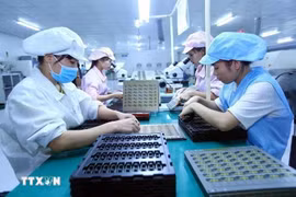 附图 图自越通社