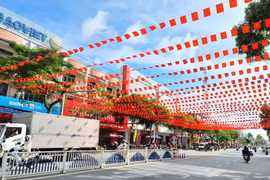 越共十四大在同塔：地方干部认同“文化与人”是国家发展的资源与动力。图自越通社