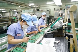 民营经济——推动经济增长与创新的主力军。图自越通社