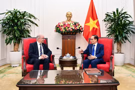 越南外交部部长黎怀忠会见瑞典外交部国务秘书哈特留斯。越南外交部供图