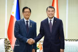 加强越南与东盟各国及亚洲开发银行的友好合作关系