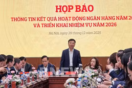 越南国家银行副行长范清河在会议上发表讲话。图自越通社