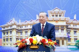 越共中央总书记、国家主席苏林出席会议并发表指导性讲话。图自越通社