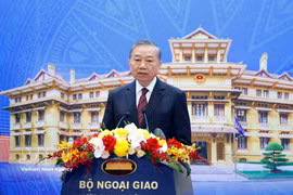 越共中央总书记、国家主席苏林出席会议并发表指导讲话。图自越通社