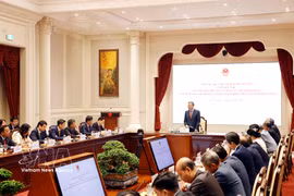 越共中央总书记、国家主席苏林在河内与外交部领导及越南驻外大使、代表机构首席代表召开了工作会议。图自越通社
