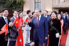 越共中央总书记、国家主席苏林和夫人吴芳璃及越南高级代表团走访越南驻中国大使馆。图自越通社