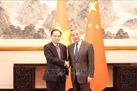 越共中央政治局委员、外交部长、苏林总书记特使黎怀忠与中共中央政治局委员、中央外事工作委员会办公室主任外交部长王毅举行会谈。图自越通社