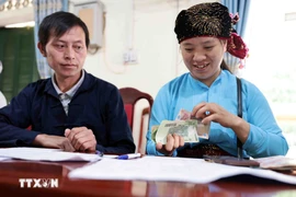 贫困户可获优惠贷款发展经济。图自越通社