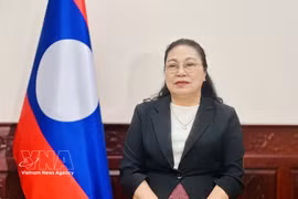 老挝人民民主共和国驻越南特命全权大使坎葆·恩塔万接受越南通讯社记者的采访。图自越通社