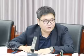 中国福建省华侨大学海上丝绸之路研究院院长黄日涵教授 图自越通社