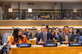 越南常驻联合国团团长杜雄越大使（中）在座谈会上发言。图自越通社