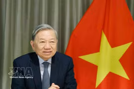 苏林总书记与美国参议员通电话
