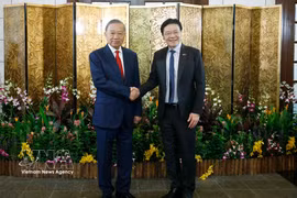 越共中央总书记、国家主席苏林与新加坡总理黄循财举行了会谈。图自越通社