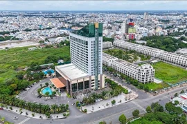 芹苴市的一角。图自越通社