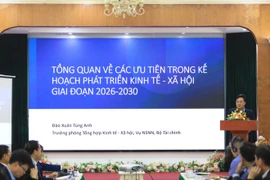 越南财政部国家预算司代表陶春松英在研讨会上发表讲话。图自越通社