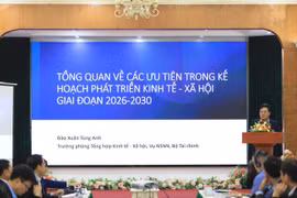 越南财政部国家预算司代表陶春松英在研讨会上发表讲话。图自越通社