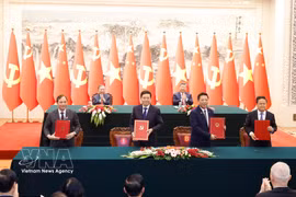 越共中央总书记、国家主席苏林与中共中央总书记、国家主席习近平共同见证两国系列合作文件的签署。图自越通社