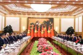 越中中央总书记、国家主席苏林同中共中央总书记、国家主席习近平举行会谈。图自越通社