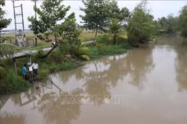 小勤乡水稻田灌溉系统已安装了可通过智能手机管理的水环境监测系统。图自越通社