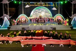 今年赫蒙芦笙节暨野桃花节的亮点是以“芦笙花会”为主题的迎宾艺术节目，以及由500名演员参与的集体表演。图自越通社