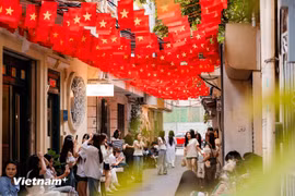 切实筹备纪念八月革命胜利80周年和9·2国庆节各项活动。图自Vietnam+