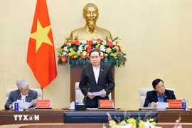 国会主席陈青敏在会上发表讲话。图自越通社