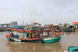 解除IUU“黄牌”警告：林同省加强渔船管理