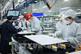 资料图：在同奈省的Regza电子（越南）有限公司的厂房。图自越通社