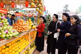 北宁水果节设有逾200个展位，推介来自各地多种水果。图自thiennhienmoitruong.vn