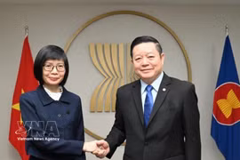 越南常驻东盟代表团团长孙氏玉香大使与东盟秘书长高金洪在印度尼西亚首都雅加达举行工作会谈。图自越通社