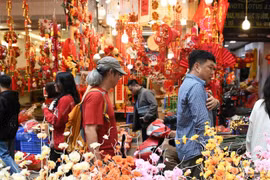 附图 图自nhandan.vn