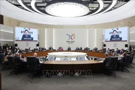 传递越南革新、创新愿景与决心的信息