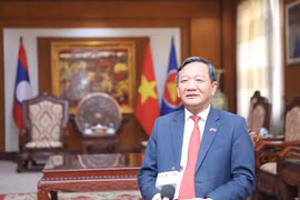 越南驻老挝大使阮明心接受越通社驻万象记者采访。图自越通社