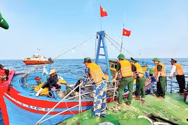 广平省边防部队定期在海上巡逻，严厉打击IUU捕捞作业的渔船。图自越通社