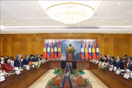 越共中央总书记苏林一行与老挝国会主席赛宋蓬·丰威汉会晤现场。图自越通社