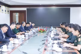 越南驻老挝大使阮明心与老挝国防部副部长旺松·因潘平上将就协调实施“推进寻找、归集和确认烈士遗骸500个昼夜”行动举行工作会谈。图自越通社
