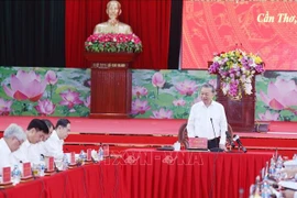 越共中央总书记苏林在会议上发言。图自越通社