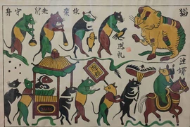 十七项UNESCO非遗 闪耀越南文化宝藏