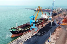 永昂港3号码头总投资额超过1万亿越南盾，长度为225米，能够接卸载重吨位达4.5万的船舶，年设计吞吐能力约215万吨。图自越通社