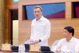 越南政府例行记者会：打击知识产权侵权高峰行动首月成效显著