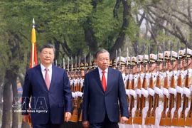 中共中央总书记、国家主席习近平主持仪式欢迎越共中央总书记、国家主席苏林访华