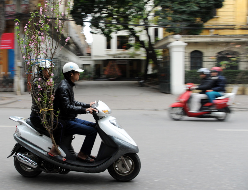 （图片来源：人民报网）